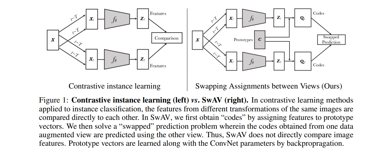 SWaV