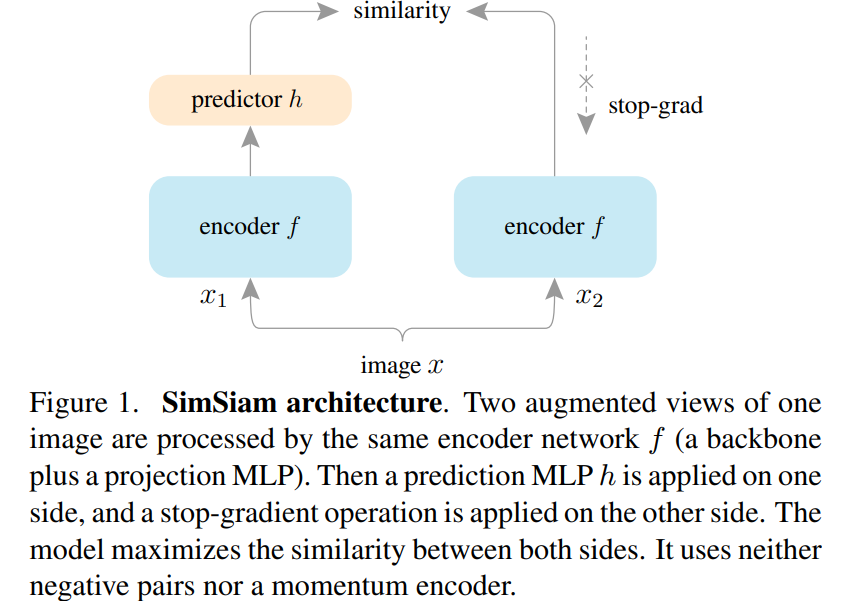 SimSiam